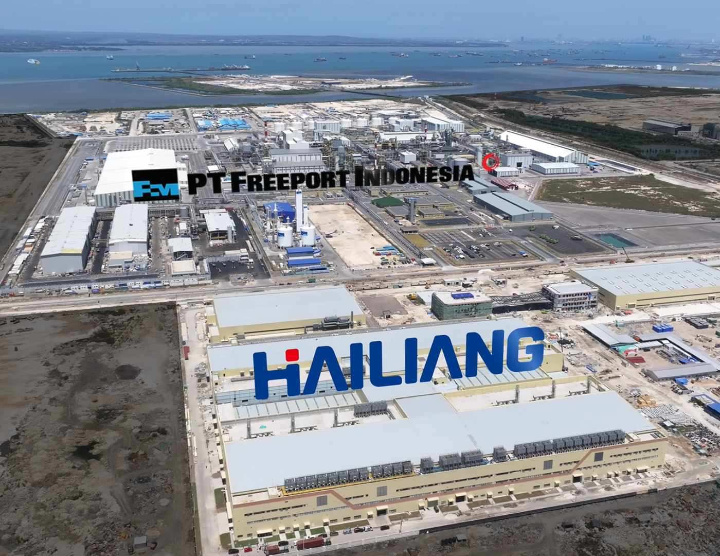 Hailiang 海亮集团